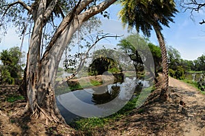 Trails in Keoladeo National Park