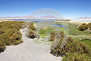 Trails at the Los Flamencos National Reserve, Chile