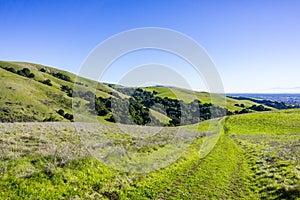 Trails on the verdant hills of east bay, San Francisco bay area, Hayward, California photo