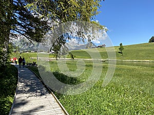 Trails for walking, hiking, sports and recreation in the Thur river valley and in Obertoggenburg region, Wildhaus - Switzerland