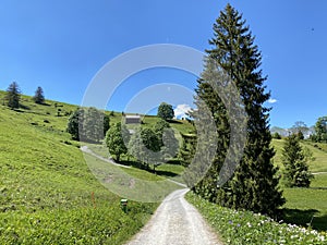 Trails for walking, hiking, sports and recreation in the Thur river valley and in Obertoggenburg region, Wildhaus - Switzerland