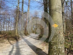 Trails for walking, sports and recreation through the pastures and settlements above Lake Zurich Zurichsee or Zuerichsee