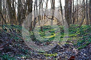 Trails in White Clay Creek