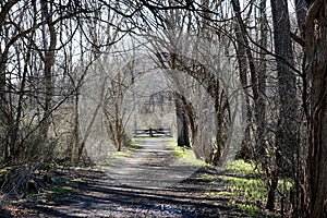 Trails in White Clay Creek in Pennsylvania.