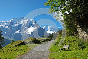 Trailside Bench