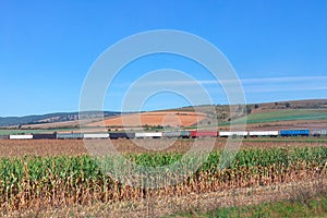 Train in the agricultural fields