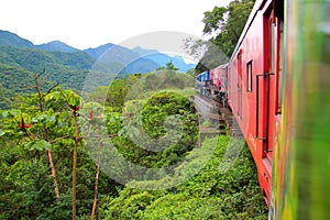 Train in the Atlantic Rainforest Brazil