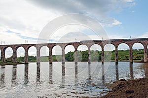 Train and berwick viaduct