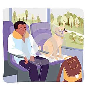 Train, bus travel with dog on seat, passenger and puppy with harness sitting in chairs