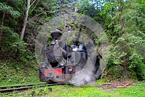 Train called Mocanita on Vaserului Valley, Romania