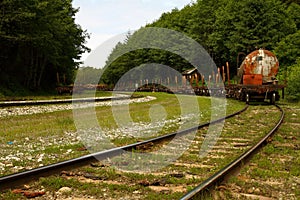 Train cars in Vancouver Island, Canada photo