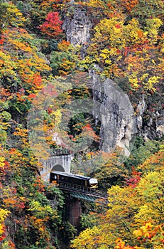 A train coming out of a tunnel onto a bridge over Naruko Gorge with colorful autumn foliage