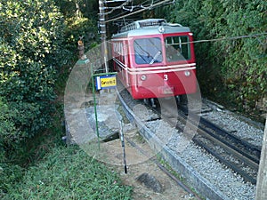 Train of the Corcovado