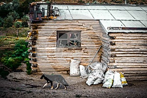 The Patagonian train. Ocean, pampas and snow in the deepest Argentina. photo