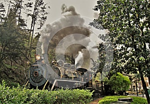 Train at Dollywood in Tennessee