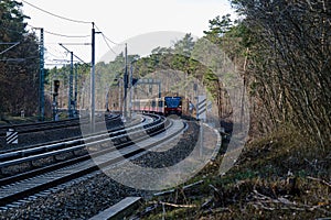 Train driving along the forest.