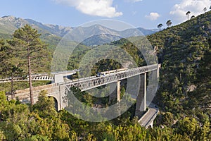 Train driving on large bridge in Vivario Corsica