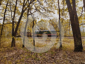 Train, electric locomotive behind the trees