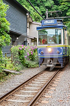 Train in Kamakura, Japan