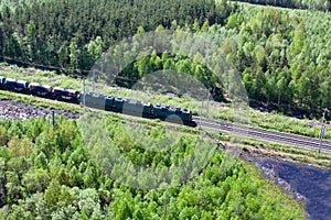 Train in the forest