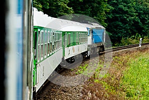 Train going through a Forest