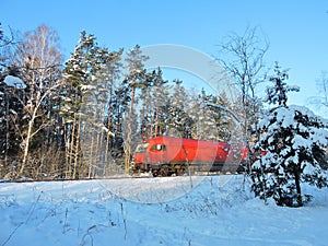 Train going by forest