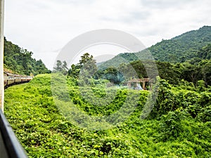 Train going through the green fields in Chiang Mai