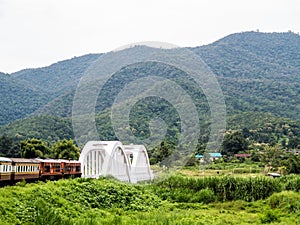 Train going over a bridge and green fields in Chiang Mai