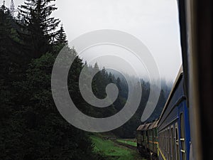 Train going to the misty forest