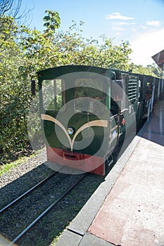 A Train in Iguazu