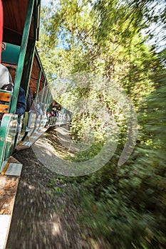 A Train in Iguazu