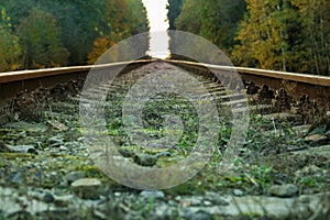 Train line in the forest
