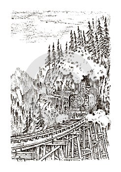 A train or a locomotive passes through a tunnel. Landscape of nature. Rock against the background of the forest. Vintage