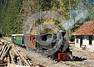 Train in Maramures forest