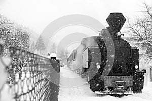 TRAIN IN MARAMURES FOREST, winter time