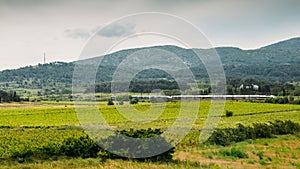 Train in Motion through Green scenery, France, Europe