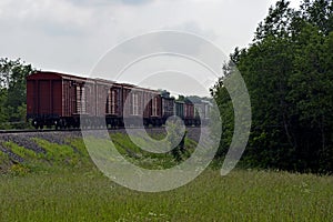 Train in motion. The locomotive is carrying freight wagons. Railroad in the summer in the countryside