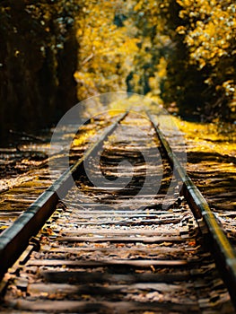 Train in the nature in autumn