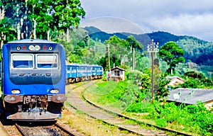 Train near Ella, running through tea fields. Sri Lanka