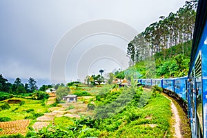 Train near Ella, running through tea fields. Sri Lanka