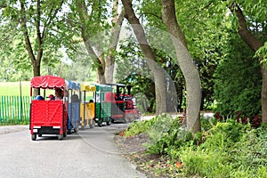 Train in the park kids