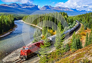 Train passing famous Morant`s curve in Banff ,Canada