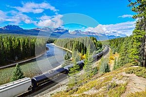 Train passing famous Morant`s curve in Banff ,Canada