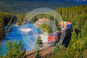 Train passing through Morant's Curve in bow valley, Canada photo