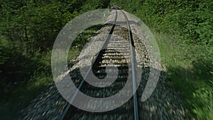 A train passing through some woods