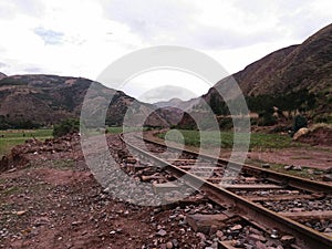 train rail close to corn crop