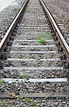 Train rails of an abandoned track