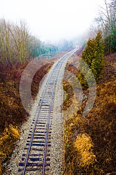 Train rails in landscape