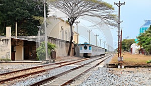 Train on railway with electricity poles and tree building street