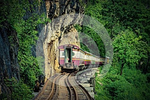 Train on the railway